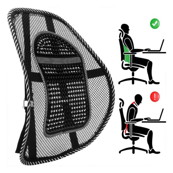Back Support Normal